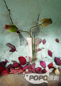 �촩֮����Ҫ��İ�(��)