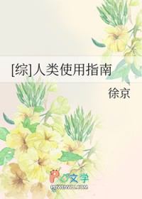 [��] ����ʹ��ָ��