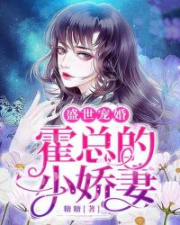 ʢ����飺���ܵ�С����
