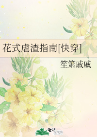 ��ʽŰ��ָ��[�촩]