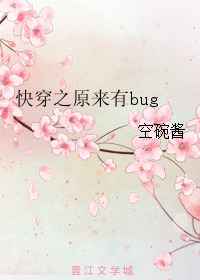�촩֮ԭ����bug