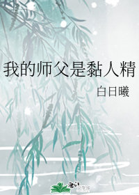 �ҵ�ʦ������˾�