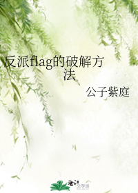 ����flag���ƽⷽ��