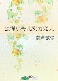 ǿ��С���ʵ�����