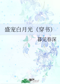 ʢ����¹⣨���飩
