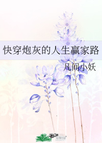 �촩�ڻҵ�����Ӯ��·