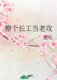 �ø��������Ϲ�
