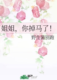 ��㣬�������