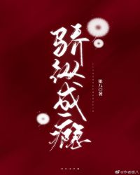 ���ݳ��