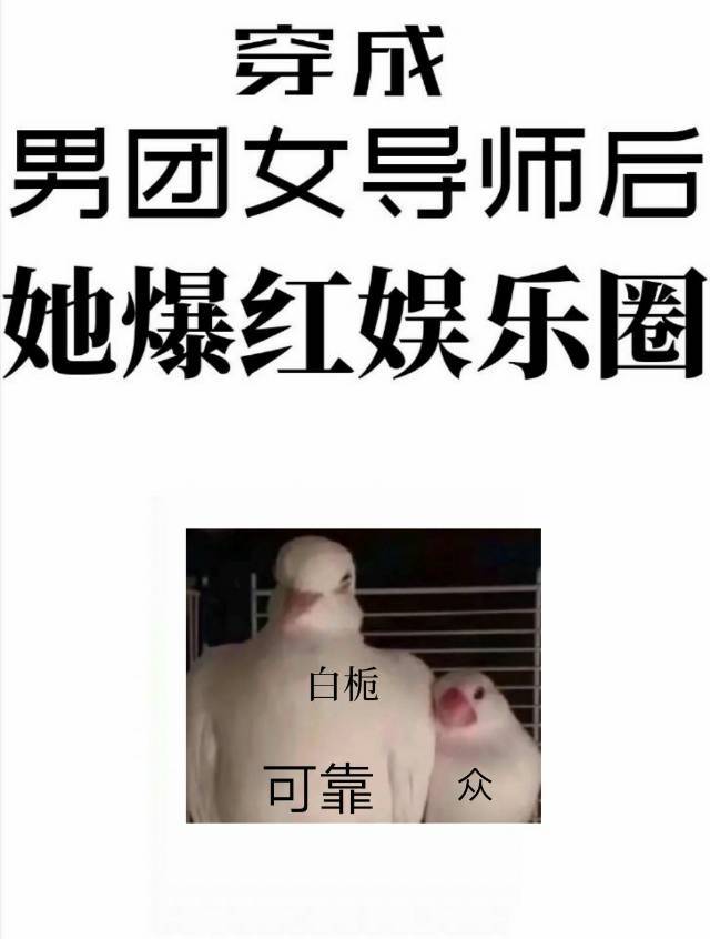 ��������ѡ��Ů��ʦ������������Ȧ