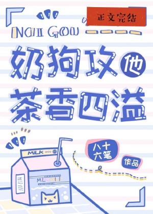 �̹�������������