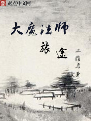 ��ħ��ʦ��;