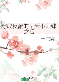 ���ɷ��ɵ���زСʦ��֮��
