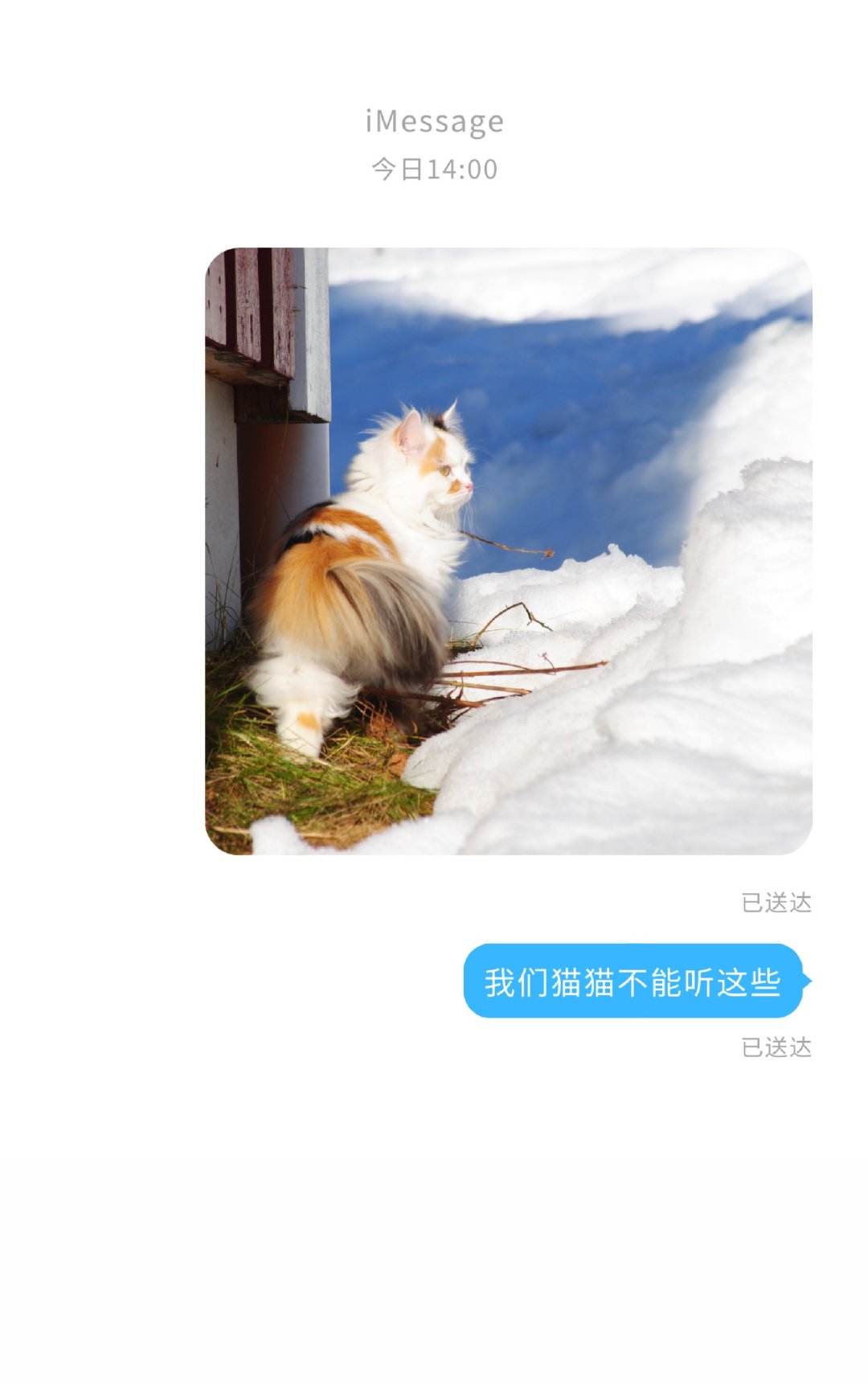 ����èè��������Щ
