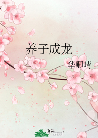 ���ӳ���