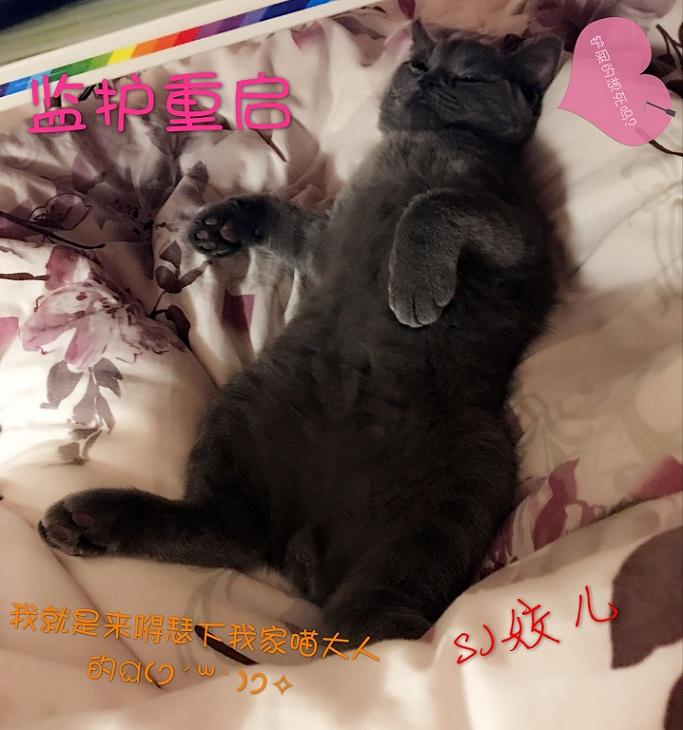�໤����