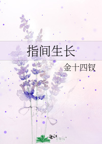 ָ������