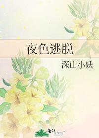 ҹɫ����