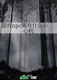 ��Ϸnpc����ʲôС�Ļ�