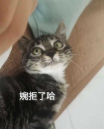����˹�
