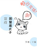 ��������̫�ӵ���